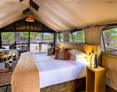 Twin/Double Tent