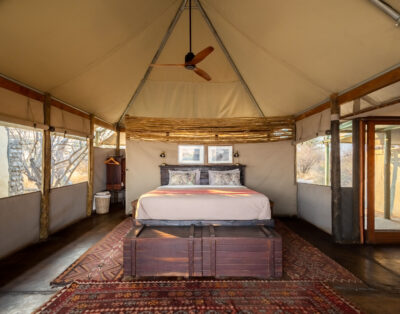 Family Tent