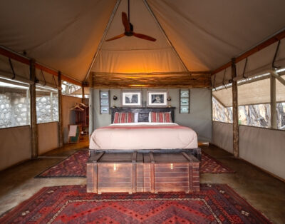 Double Tent