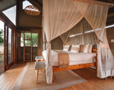 Safari Tents