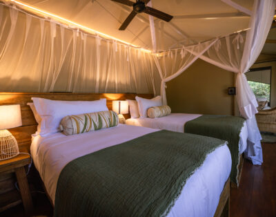 Family Tent