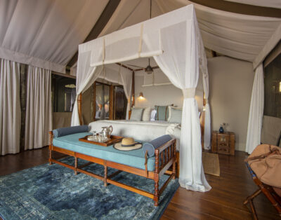 Family Tent