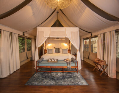 Safari Tent