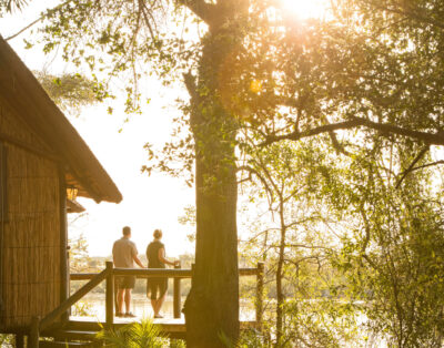 Luxury Chalets